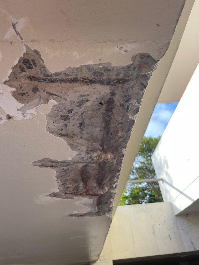 North Sydney Concrete - soffit concrete cancer
